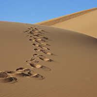 Footprints on a sand dune in the Sahara desert.